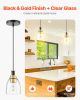 VEVOR Pendant Light 1-Light Pendant Lighting with Glass Shade Adjustable Height